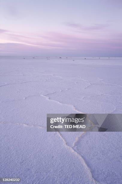 salt bed of dry lake, lake eyre national park, south australia, australia - lake eyre stock pictures, royalty-free photos & images