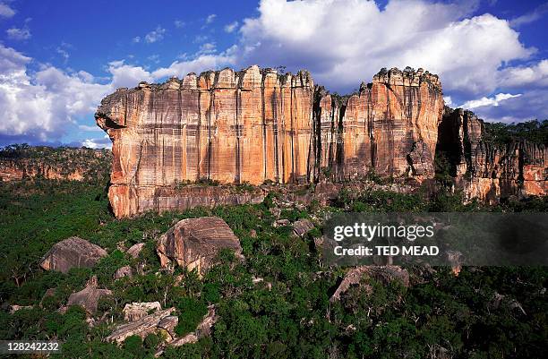 mt brockman on the kakadu escarpment, nt, australia - kakadu stockfoto's en -beelden