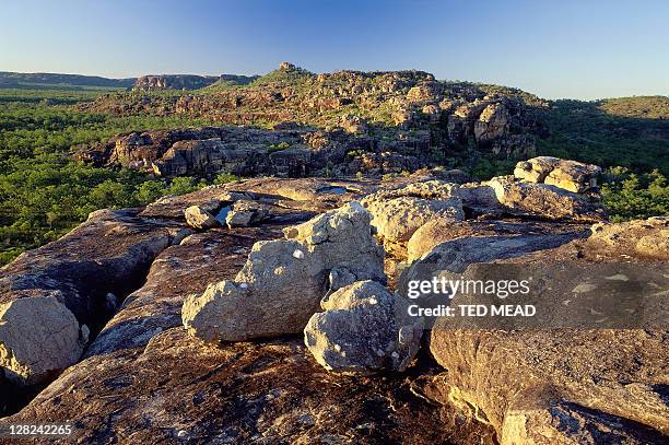 escarpment overlooking jabiluka lease area, kakadu np, nt, australia - kakadu foto e immagini stock