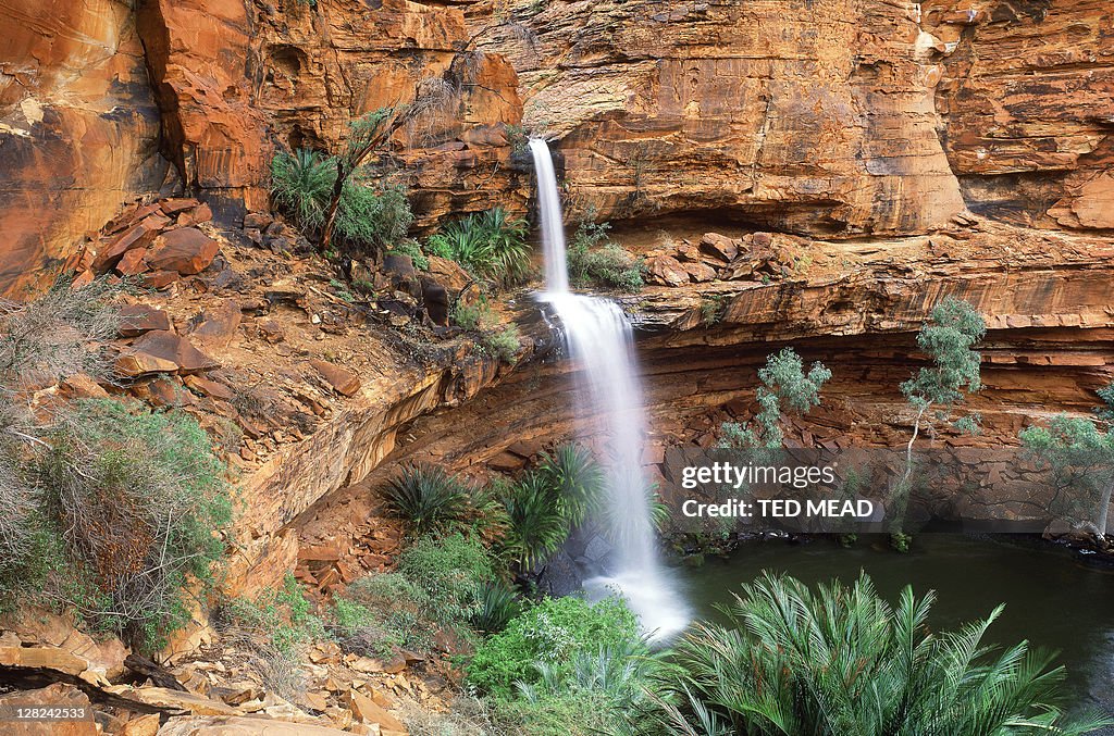 Waterfall in kings canyon with ferns, northern territory, australia