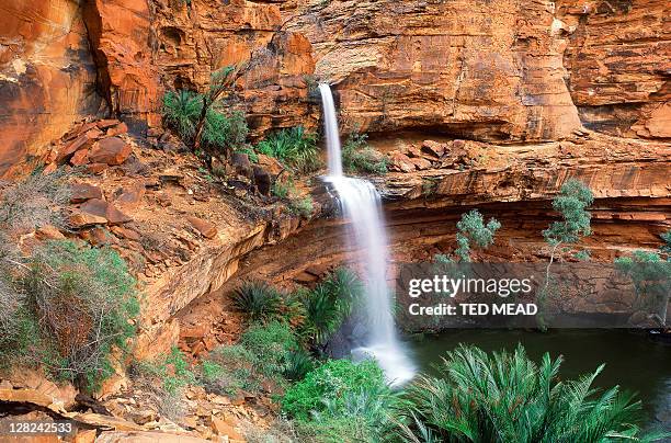 waterfall in kings canyon with ferns, northern territory, australia - northern territory australia stock pictures, royalty-free photos & images