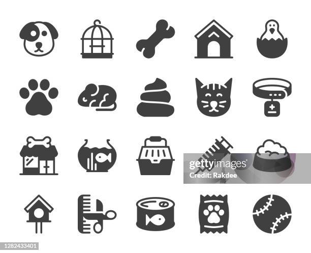 domestic animals - icons - collar icon stock illustrations