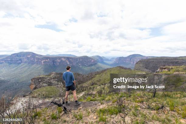 hiker in the blue mountains - blue mountains stock pictures, royalty-free photos & images