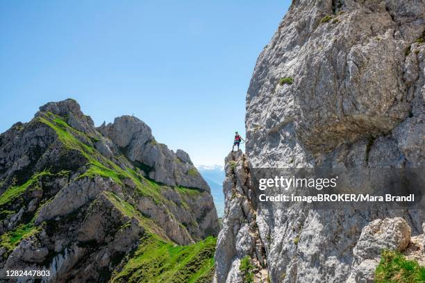 young man climbing a rock face, via ferrata to the seekarlspitze, 5-summit via ferrata, hike at the rofan mountains, tyrol, austria - wire rope stock pictures, royalty-free photos & images