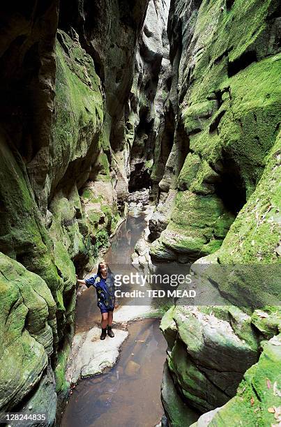 woman in mickeys creek gorge, carnarvon gorge np, qld, australia - carnarvon stock pictures, royalty-free photos & images