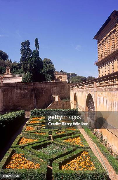 boboli gardens and pitti palace, florence, italy - boboli gardens stock pictures, royalty-free photos & images
