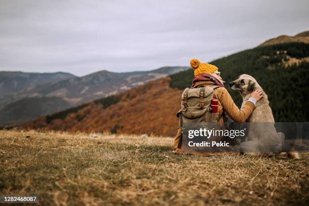 woman hiker and a dog sitting on the meadow enjoying the beautiful view - dog backpack stock pictures, royalty-free photos & images