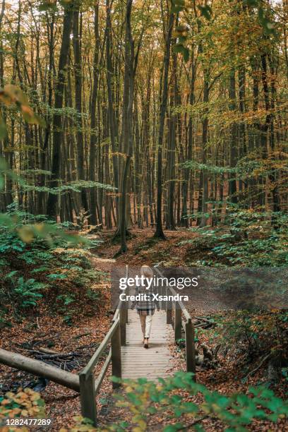 woman walking alone in the forest - jasmund national park stock pictures, royalty-free photos & images