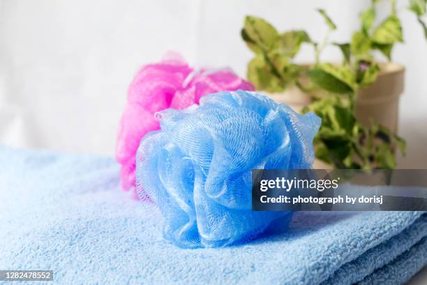 loofah with bath towel - loofah stock pictures, royalty-free photos & images