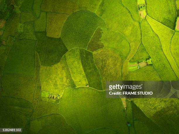 the aerial view of pattern step rice field when daylight the ricefiled can sea top view - vietnam map stock pictures, royalty-free photos & images