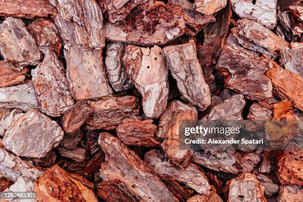 wooden mulch bark close-up textures - bark mulch stock pictures, royalty-free photos & images