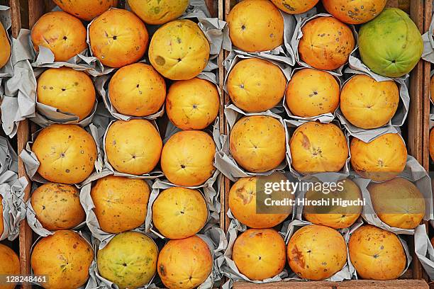 fruit stand,, rio de janeiro, brazil, south america - papaia foto e immagini stock