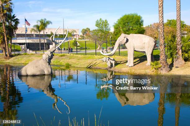 re-created animals in pond outside george c. page museum, la brea discoveries, los angeles, california - la brea tar pits museum stock pictures, royalty-free photos & images