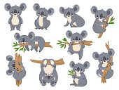 Cute cartoon koala. Lazy koalas with eucalyptus. Little funny rainforest animals. Australian bear sleeping on tropical tree vector set