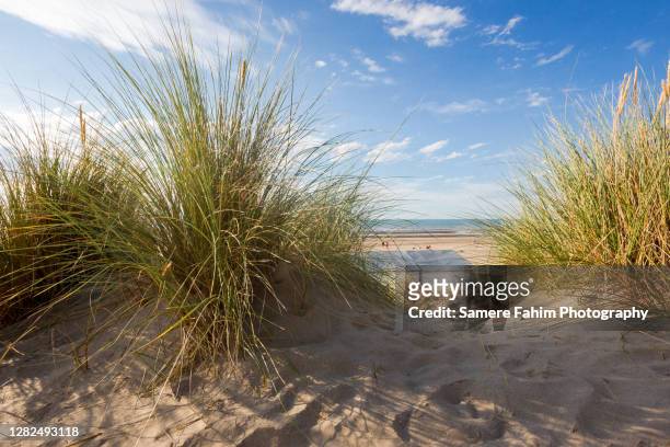scenic view of a beach against sky - belgien stock-fotos und bilder