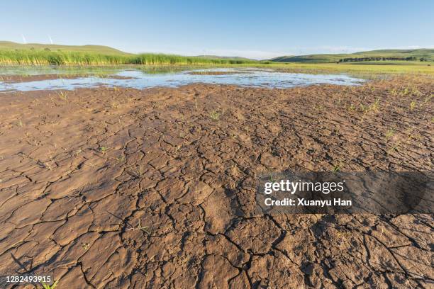 cracked soil - moor feuchtgebiet stock-fotos und bilder