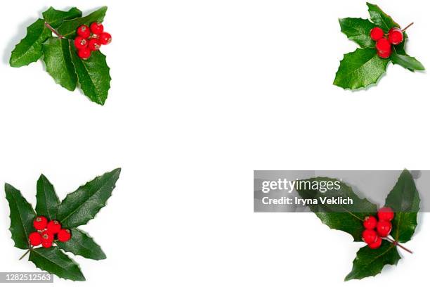 holly christmas decoration. - hulst stockfoto's en -beelden