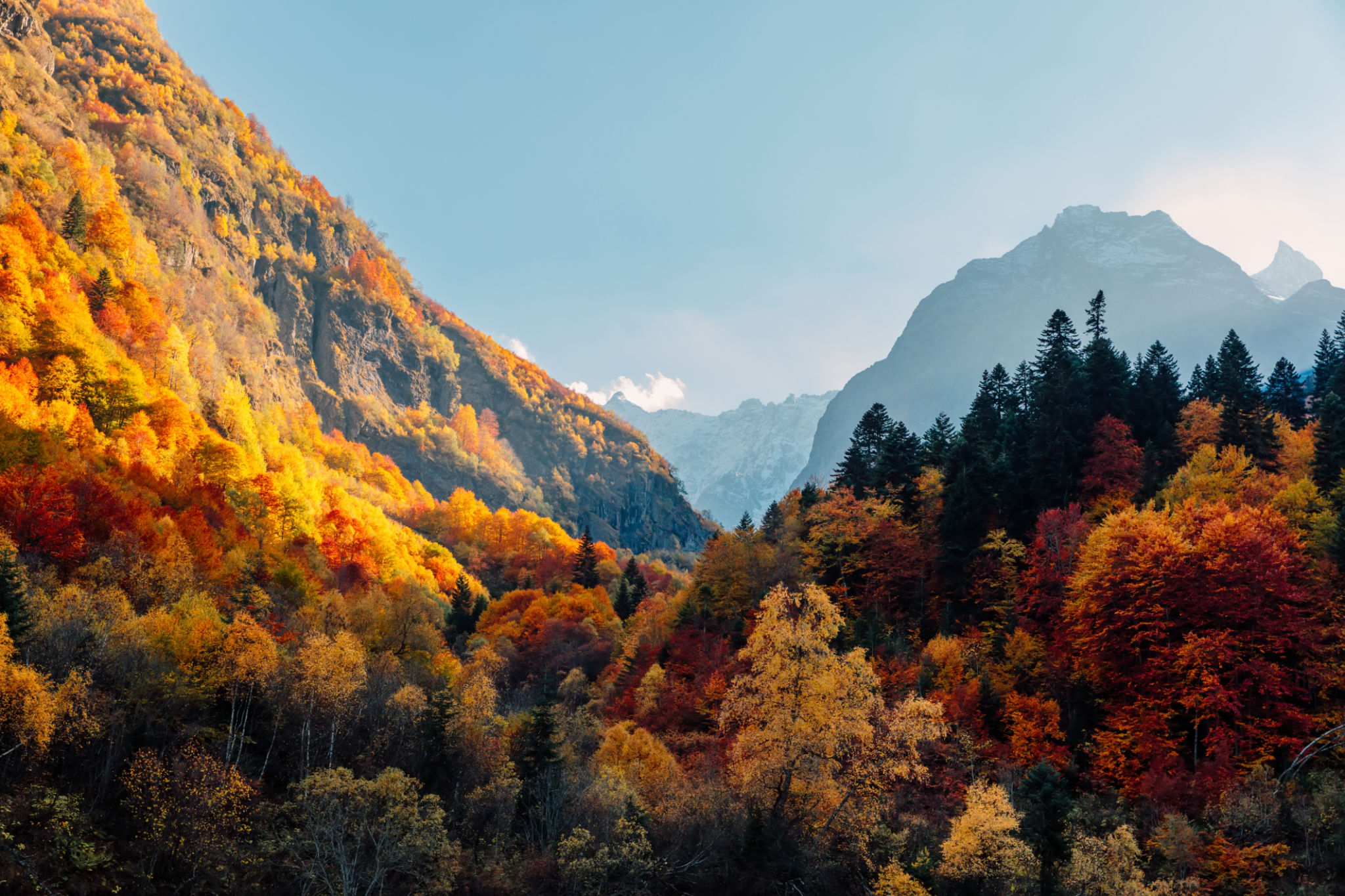 Rocky mountains and autumnal forest with colorful trees. High mountain landscape and amazing light Rocky mountains and autumnal forest with colorful trees. High mountain landscape and amazing light