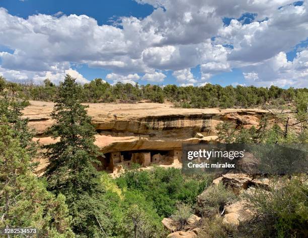 spruce tree house at mesa verde national park in colorado, usa - pueblo built structure stock pictures, royalty-free photos & images