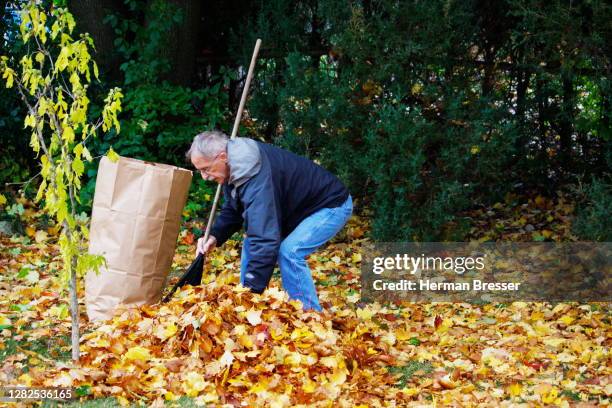 autumn leaves labour - leaning over stock pictures, royalty-free photos & images