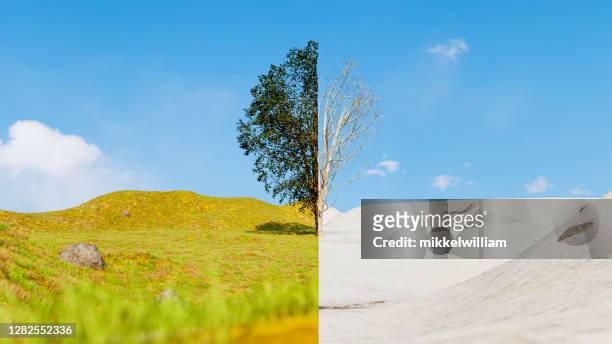 split screen of a tree in summer and winter showing the season change - snow on grass stock pictures, royalty-free photos & images