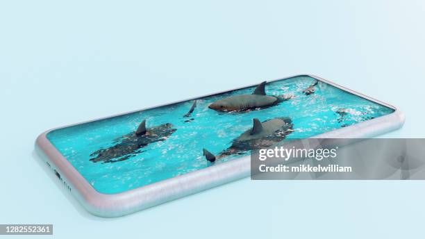 concept of the dangers of using a smart phone - crazy pool stock pictures, royalty-free photos & images