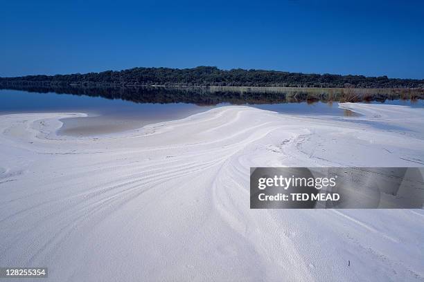 lake boomajin,fraser island - fraser fotografías e imágenes de stock