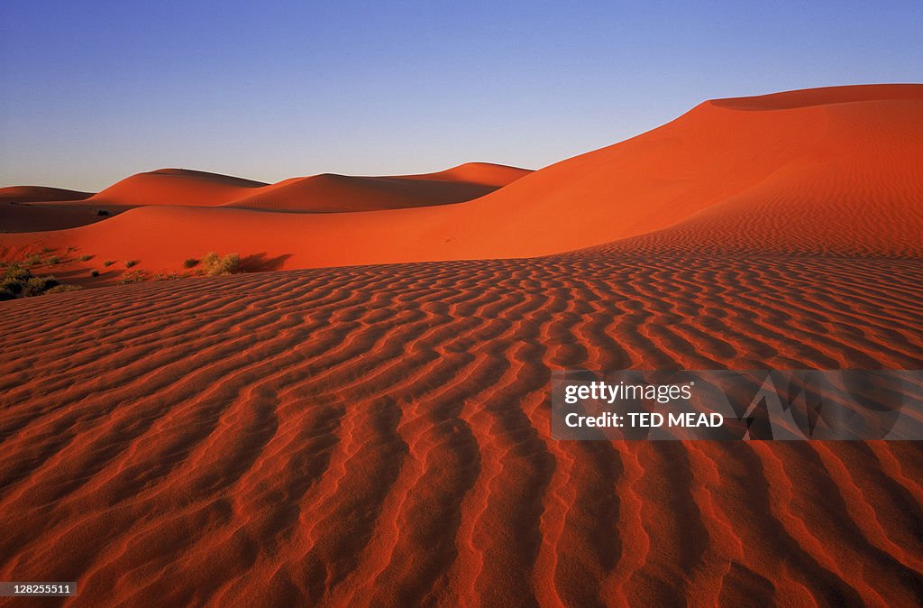 Strzelecki desert dunes,south australia