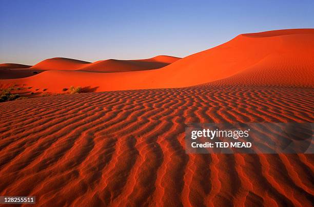 strzelecki desert dunes,south australia - australia desert stock pictures, royalty-free photos & images