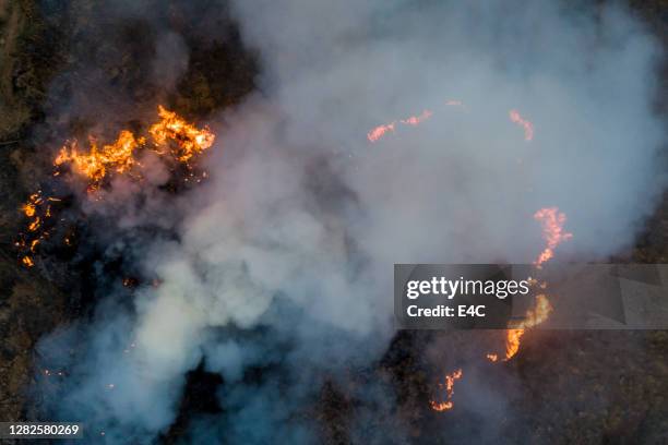 vista aérea del incendio forestal - incendio forestal fotografías e imágenes de stock