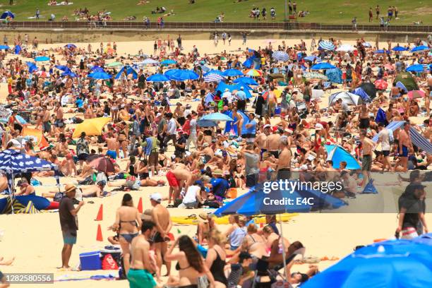 crowded beach in sydney - crowded beach stock pictures, royalty-free photos & images
