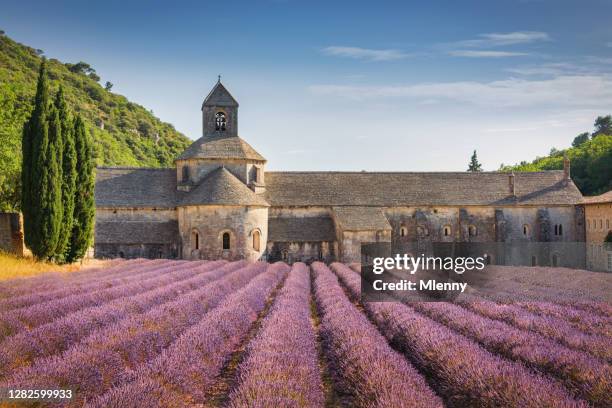 abbeye de senanque lavendelfeld provence im sommer frankreich - lavender field france stock-fotos und bilder