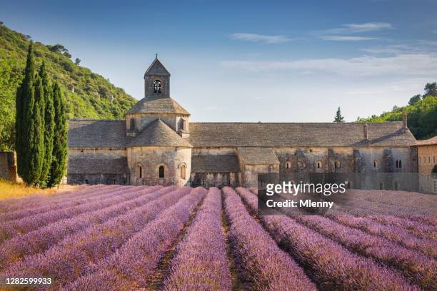 abbeye de senanque lavender field provence in summer france - france stock pictures, royalty-free photos & images