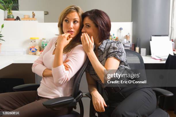 two employees gossiping in office cubicle - rumor stockfoto's en -beelden