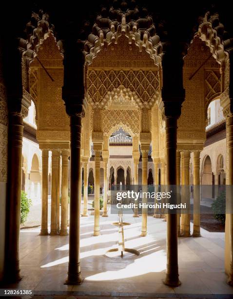 court of the lions, the alhambra, andalucia, granada, spain - alhambra fotografías e imágenes de stock