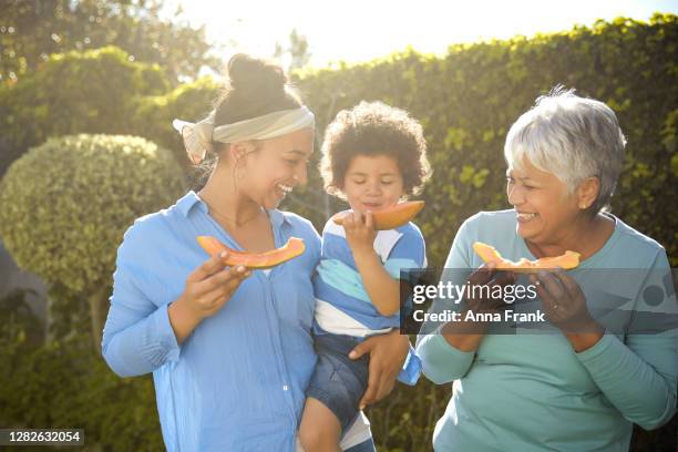 familie isst papaya an einem sonnigen tag - extended family outdoors spring stock-fotos und bilder