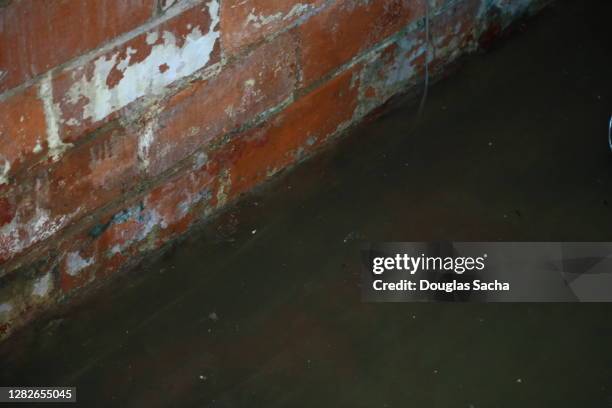 flooded basement from sewer backup - flooded basement imagens e fotografias de stock