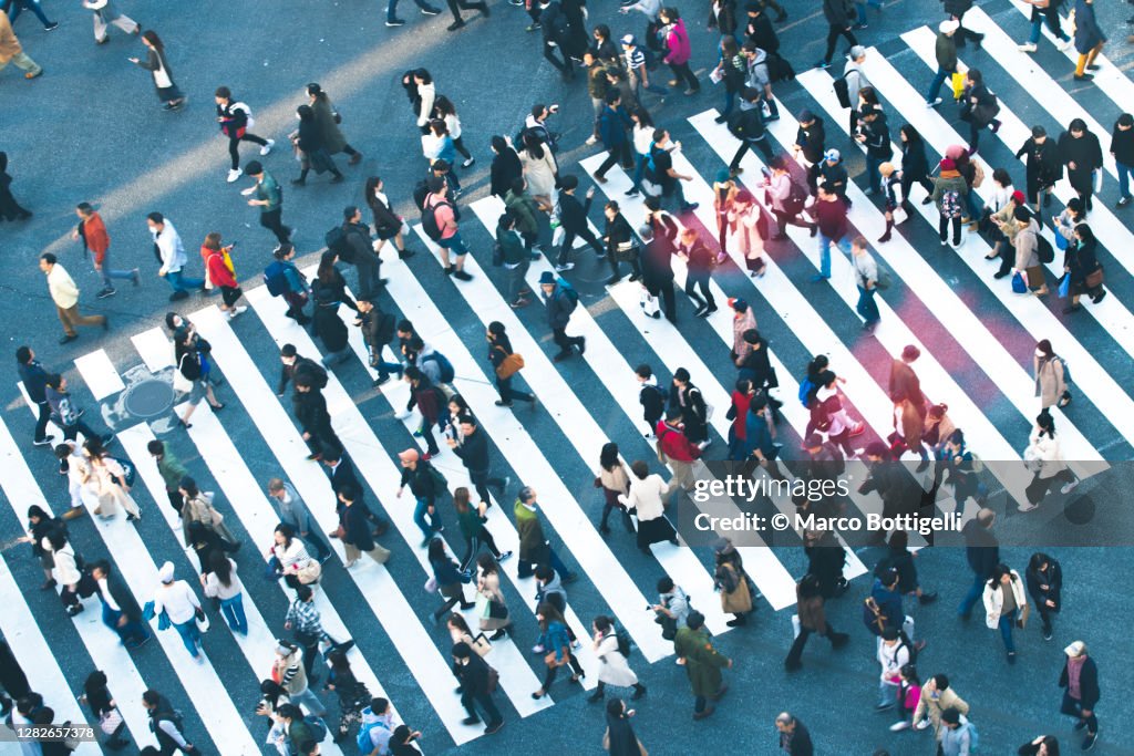 Commuters walking at Shibuya Crossing, Tokyo