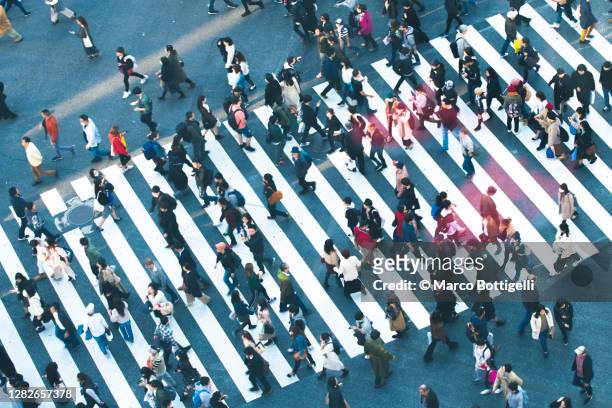 commuters walking at shibuya crossing, tokyo - street fotografías e imágenes de stock