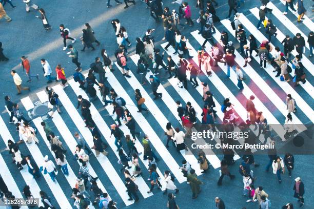 commuters walking at shibuya crossing, tokyo - crowd in the street bildbanksfoton och bilder