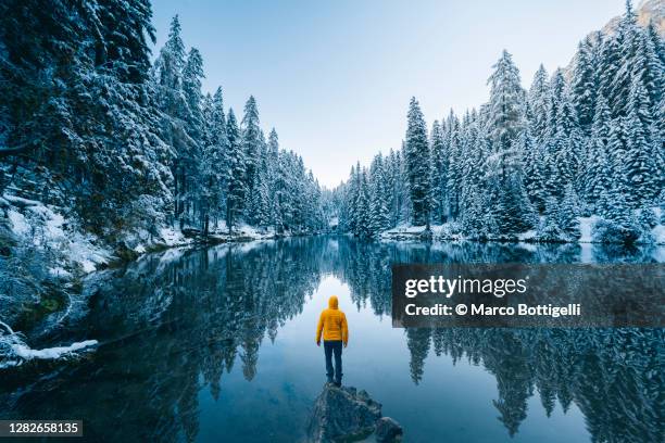 one person admiring a frost forest in the dolomites in winter, italy - wonderlust stock-fotos und bilder