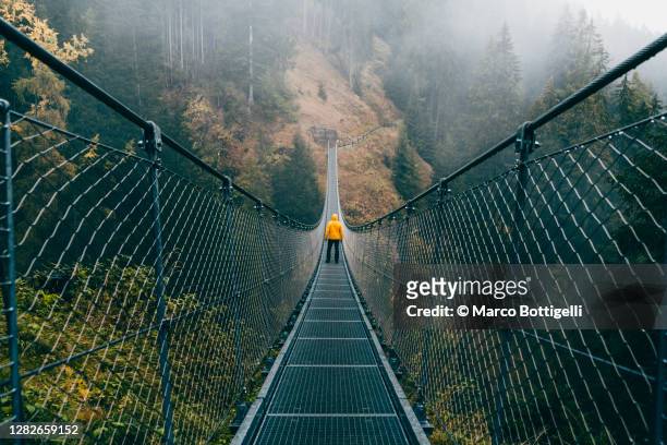 man standing on a suspension bridge in the forest - verwonderingsdrang stockfoto's en -beelden