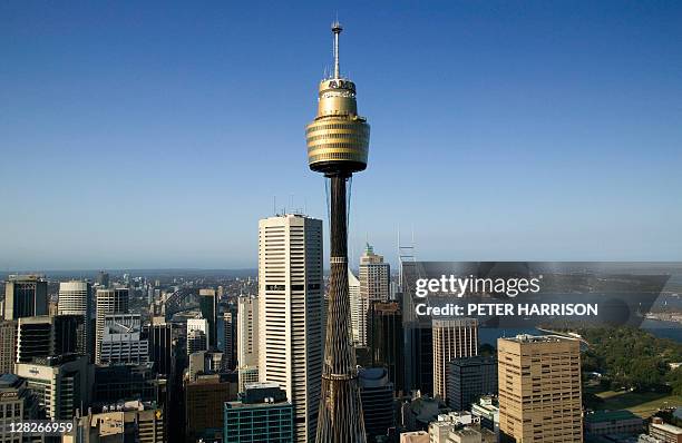 aerial view of sydney tower, sydney, new south wales, australia - centrepoint tower bildbanksfoton och bilder