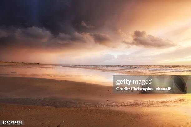 wonderful view of normandie beach at dusk, france - majestic stock pictures, royalty-free photos & images