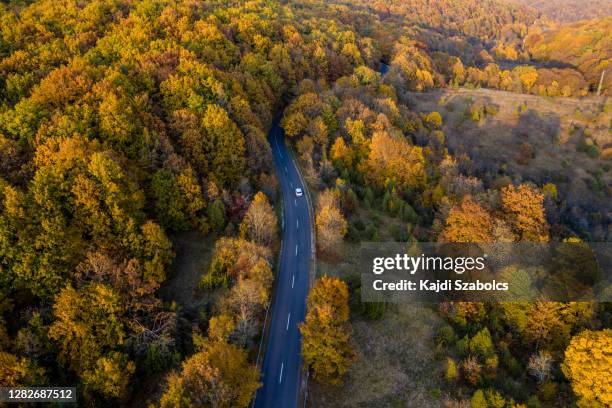 road drone view in autumn - hungary countryside stock pictures, royalty-free photos & images