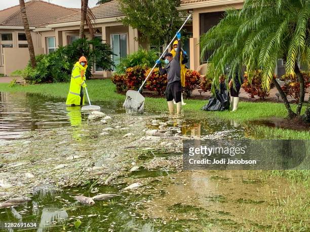 worker cleaning up after rain storm flooded neighborhoods - flood cleanup stock pictures, royalty-free photos & images