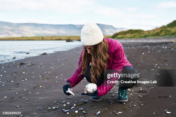 Woman Picking Up Shells Photos and Premium High Res Pictures - Getty Images