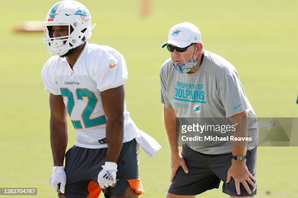 Offensive coordinator Chan Gailey of the Miami Dolphins looks on during practice at Baptist Health Training Facility at Nova Southern University on...