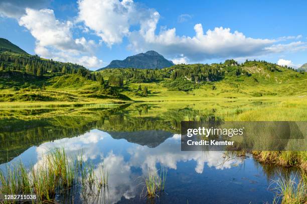 reflections at idyllic lake - vorarlberg imagens e fotografias de stock