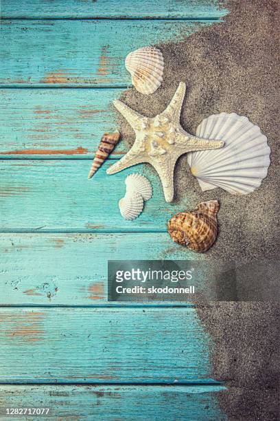 muscheln im sand auf blauem holzhintergrund - sea shell stock-fotos und bilder
